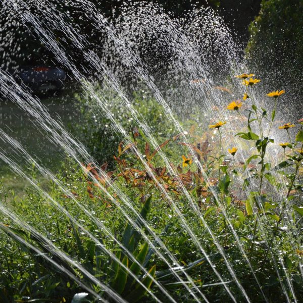 peggychoucair-garden-3664278