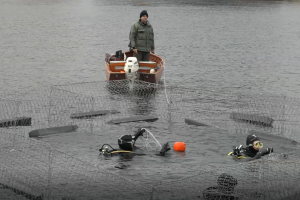 persico-isole-sommerse-pesca-pescatori-sub