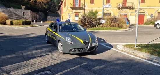 pesce-marcio-erba-finanza (1)