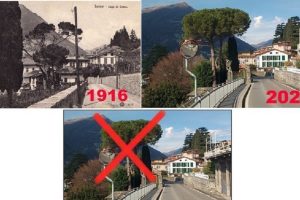 petizione torno pini marittimi