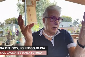 pia pullici