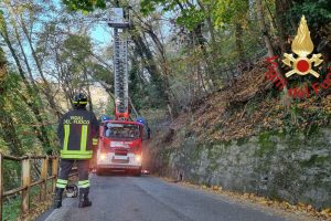 pianta-pericolante-brunate-vigili-fuoco