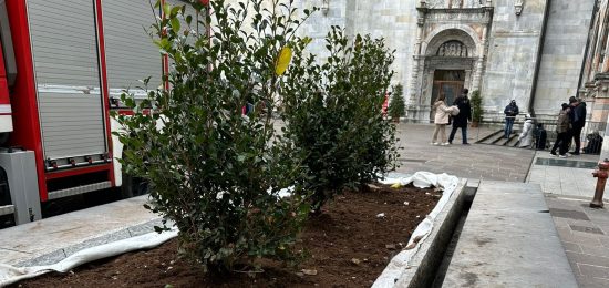 piante-fontane-piazza-grimoldi-2