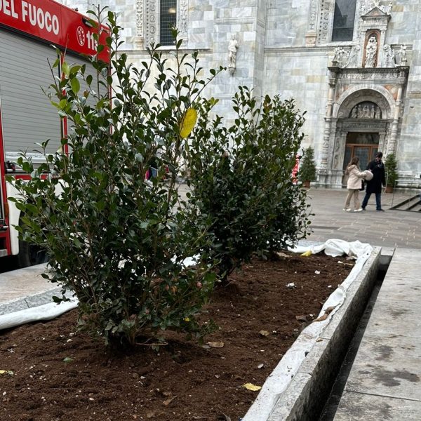 piante-fontane-piazza-grimoldi-2