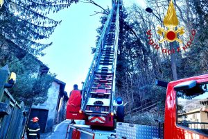piante-vigili-fuoco-pannilani-autoscala
