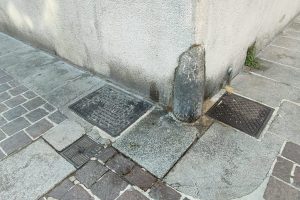 pipì cani (1)