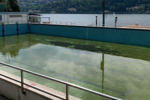 Piscina e Lido di viale Geno. L’infinita, durissima contesa tra la Como Nuoto e la Pallanuoto Como ha avuto un prezzo collettivo: ridurre la piscina di viale Geno a uno stagno, con la desolazione a fare da scenario tutto intorno (foto a destra). Ma viale Geno, purtroppo, custodisce un altro ex gioiello ora preda di abbandono e inevitabile degrado: l’ex Lido comunale (foto in fondo a destra) che a causa della mancata assegnazione dopo il primo bando comunale è in attesa di un nuovo gestore che nessuno sa quando arriverà davvero.