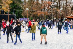 pista ghiaccio 2