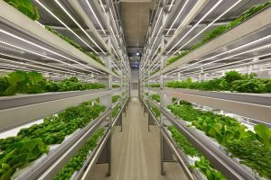 planet farms