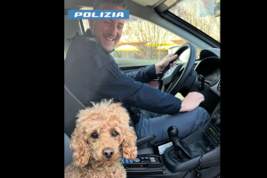 polizia-cane-abbandonato