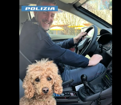 polizia-cane-abbandonato