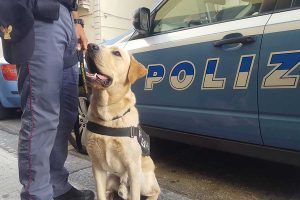 polizia-cane