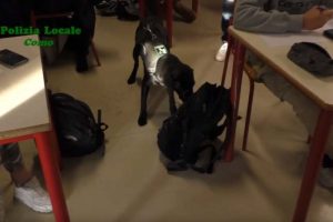 polizia-locale-droga-scuole-sicure-1
