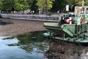 pontile-lago-detriti-4