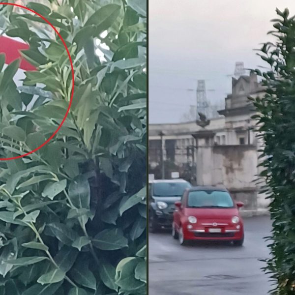 precedenza-monte-olimpino-via-amoretti-via-maderno-combo-1