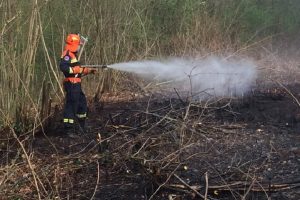 protezione civile olgiate 3