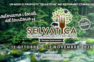 rassegna-gastronomica-selvatica