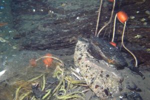 reti-pesca-abbandonate-lago (3)