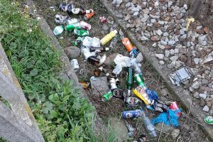 rifiuti-ippocastano-spazzatura-como-borghi-24