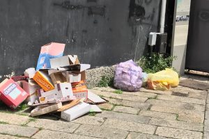 rifiuti-via-ballerini (2)