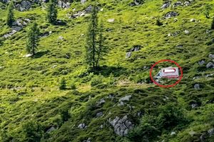 FB Rifugio Dordona