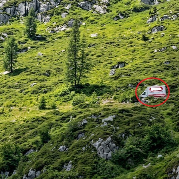 FB Rifugio Dordona