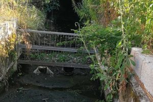 roggia-ponte-chiasso-copertina