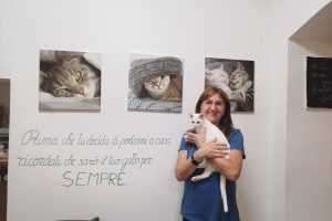 rosanna moretto gattostello