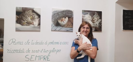 rosanna moretto gattostello