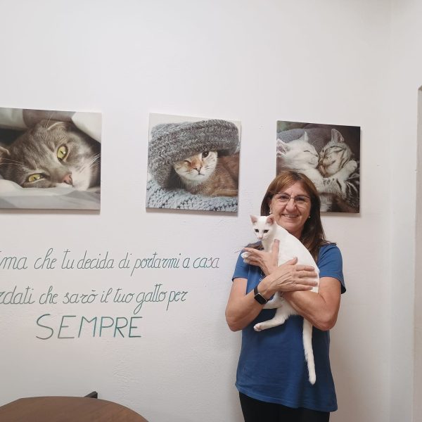 rosanna moretto gattostello