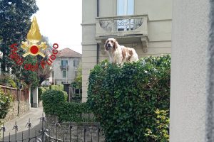 rufus 3