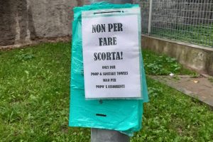 sacchetti ippocastano 2