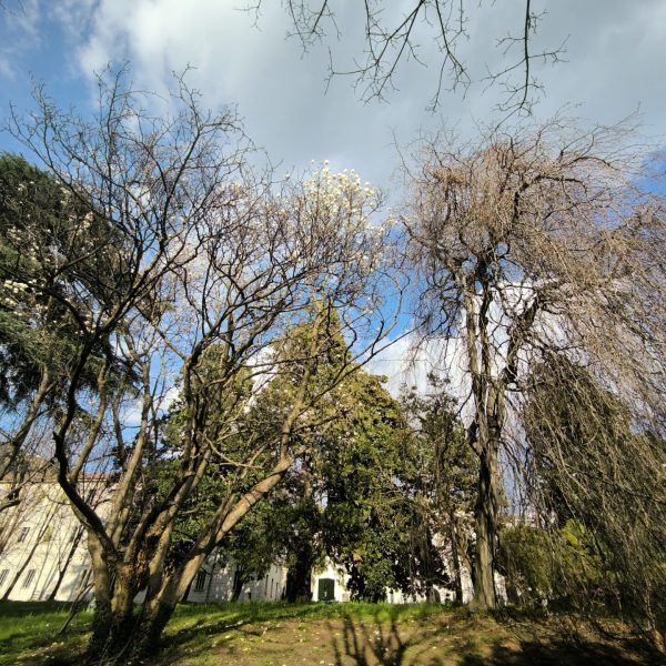san-martino (33)