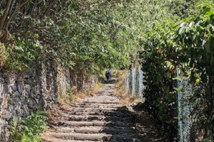 scala brunate