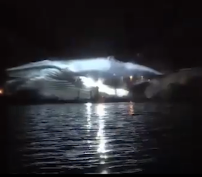 schermo-acqua-balena-1