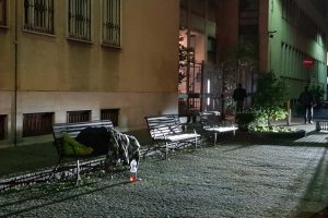 senzatetto-comune-2