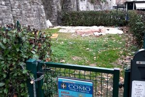 senzatetto-torre-gattoni-area-cani-1