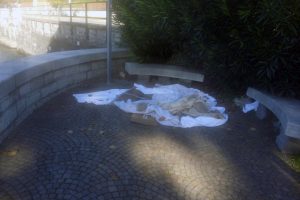 senzatetto-viale-geno