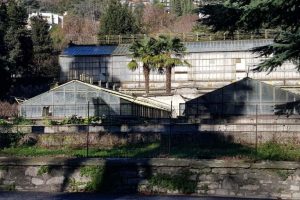 serre villa olmo (30)