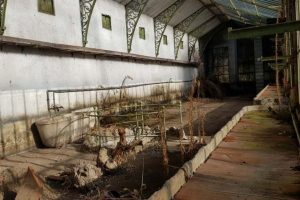 serre villa olmo (69)