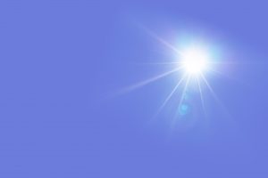 sole