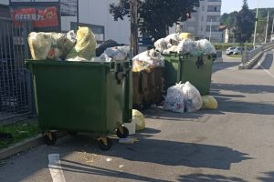 spazzatura lidl 6
