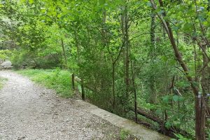 spina-verde-baradello (7)