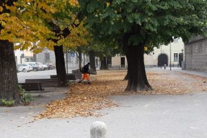 squadra-foglie-autunno-piazza-roma-1