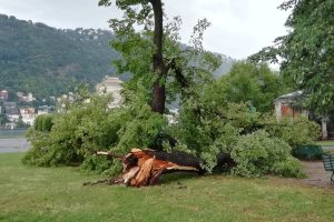 temporale-maltempo-albero-caduto-giardini-lago