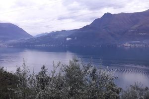 tentori olio