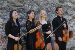 ticino musica