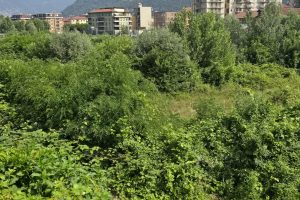 ticosa (2)