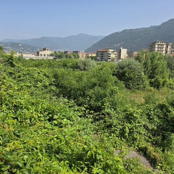 ticosa (4)