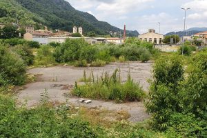 ticosa